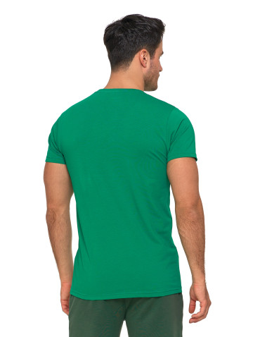 Koszulki, topy, koszule - Koszulka męska T-shirt bawełniana Premium okrągły dekolt ZIELONY - produkt 2