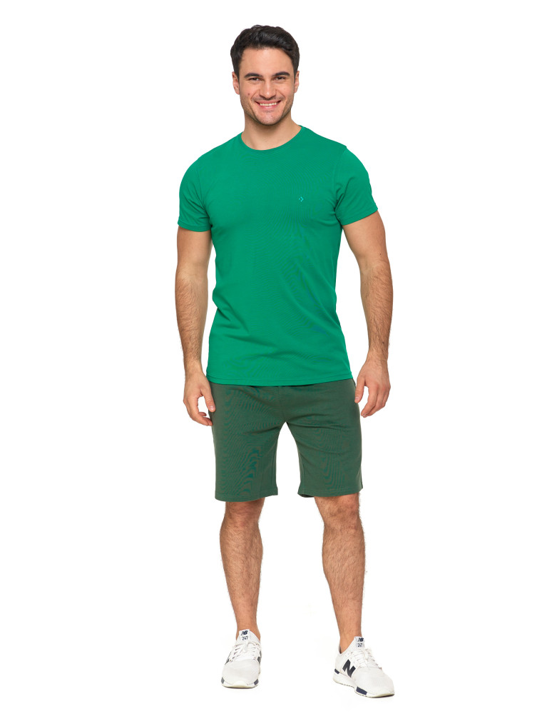 Koszulki, topy, koszule - Koszulka męska T-shirt bawełniana Premium okrągły dekolt ZIELONY - produkt moraj.pl 7