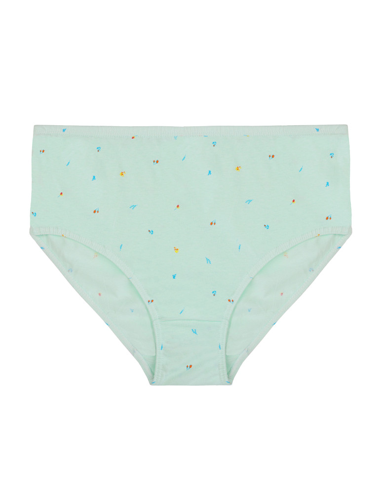 Figi - Figi majtki bawełniane plus size klasyczne 4-pak WIELOKOLOROWY - produkt moraj.pl 5